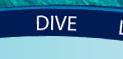 Dive