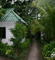 Ubytovn je propojeno s tropickou vegetac